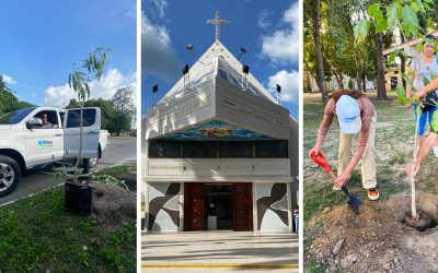Un Día para Recordar: Una Jornada con la Comunidad y el Medio Ambiente en San Jacinto, Maracay, Edo. Aragua