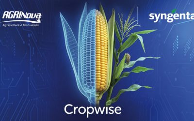 CropWise de Syngenta: Comience a cultivar con datos reales