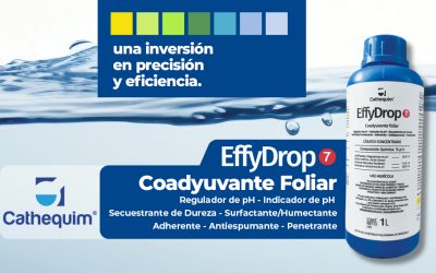 Optimiza la Calidad del Agua de tus Aplicaciones Foliares