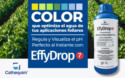 Agrinova Presenta EffiDrop 7 Un Producto Único que Regula y Visualiza el pH de la Solución Foliar al Instante