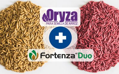 Efectivo Tratamiento Para Semillas de Arroz